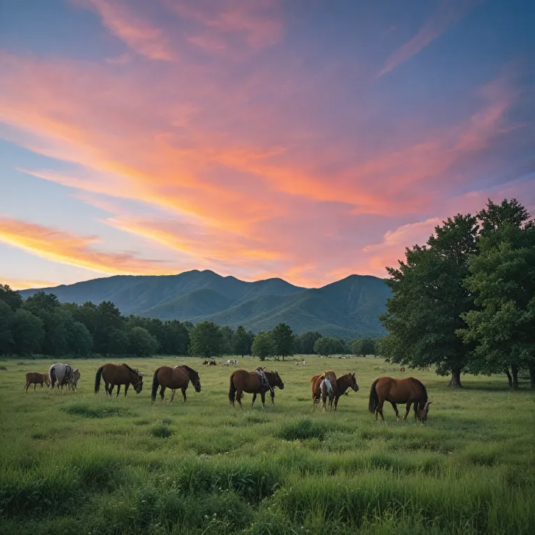 All inclusive guest ranch resorts: the ultimate luxury experience for families and adventurers