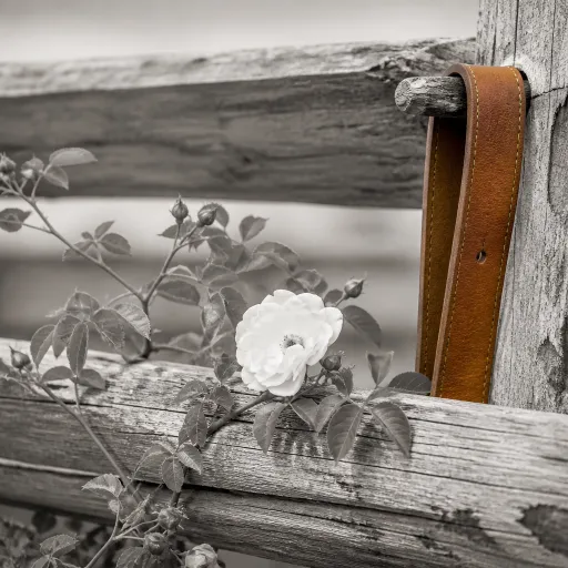 Wild rose ranch escapes for refined western stays and weddings