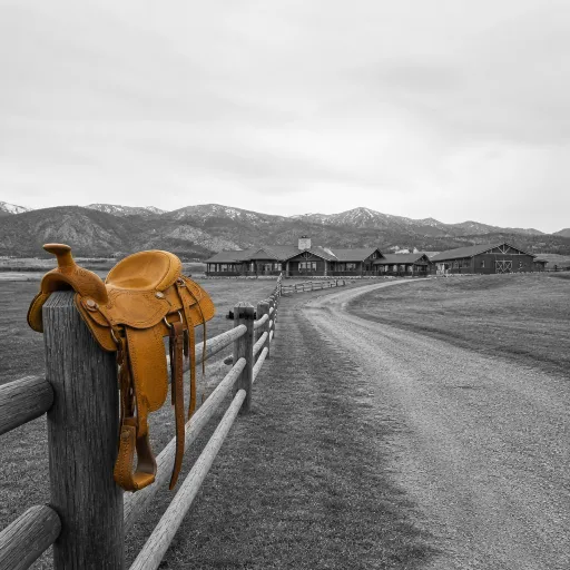 What you really pay for when booking horseback riding at a luxury guest ranch